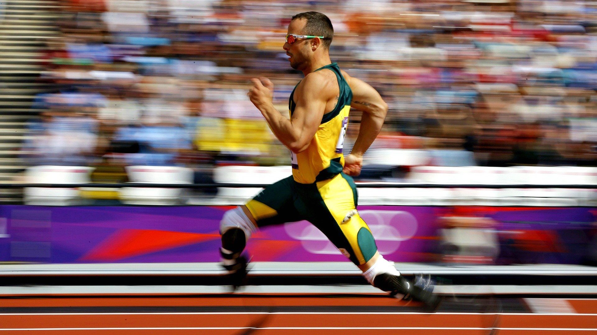 “尼古拉斯·桑特基的进攻组织与防守配合，推动美洲狮队向前迈进”